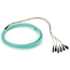 OM3 50-Micron Multimode Fiber Optic Pigtails, Aqua