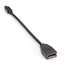 VA-MDP12-DP12: Adattatore video, Mini DisplayPort 1.2 a DisplayPort 1.2, M/F, 20.3 cm