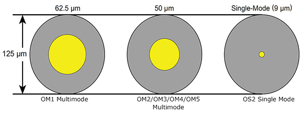 Confronto tra nucleo multimodale e monomodale